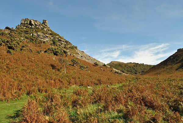 Autumn in The Valley of Rocks  Picture Board by graham young