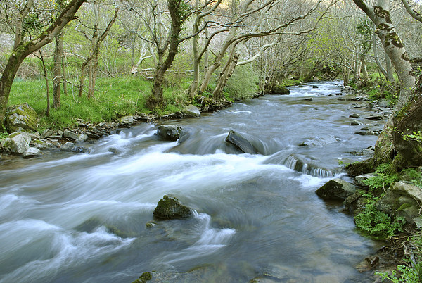 The River Heddon  Picture Board by graham young