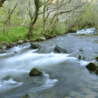 Buy canvas prints of The River Heddon  by graham young