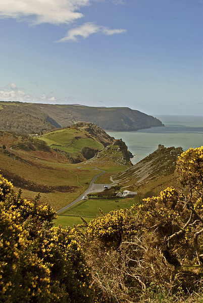 The Valley of Rocks  Picture Board by graham young