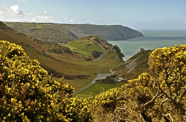 The Valley of Rocks  Picture Board by graham young