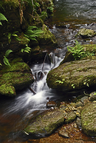 Waterfall on Hoar Oak Water  Picture Board by graham young