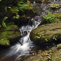 Buy canvas prints of Waterfall on Hoar Oak Water  by graham young