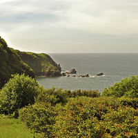 Buy canvas prints of The Exmoor Coast  by graham young
