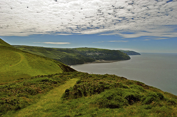 Lynton and Lynmouth, a view from Countisbury  Picture Board by graham young