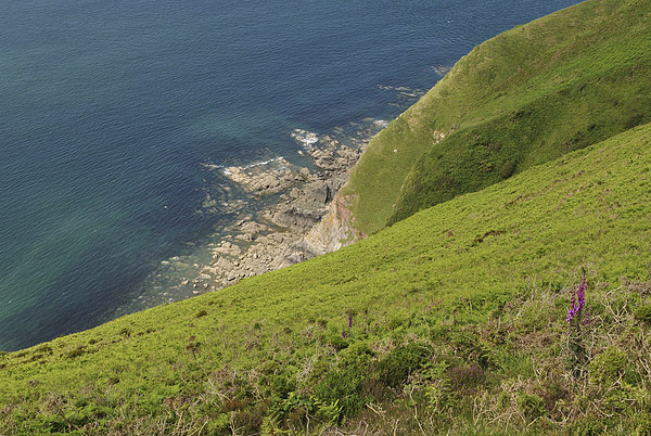 The Cliffs at Foreland Point  Picture Board by graham young