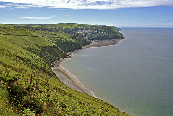 From Countisbury to Lynmouth  Picture Board by graham young