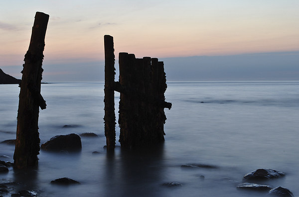 Groynes on Lynmouth Beach  Picture Board by graham young