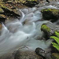 Buy canvas prints of Hoar Oak Water  by graham young