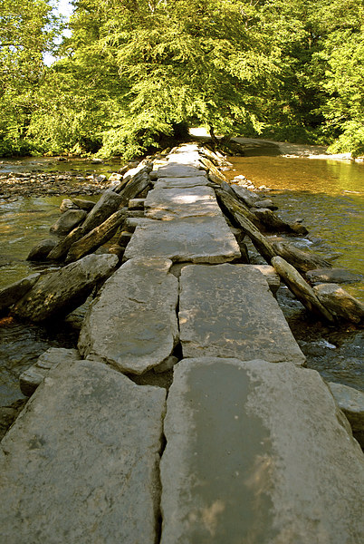 Tarr Steps  Picture Board by graham young