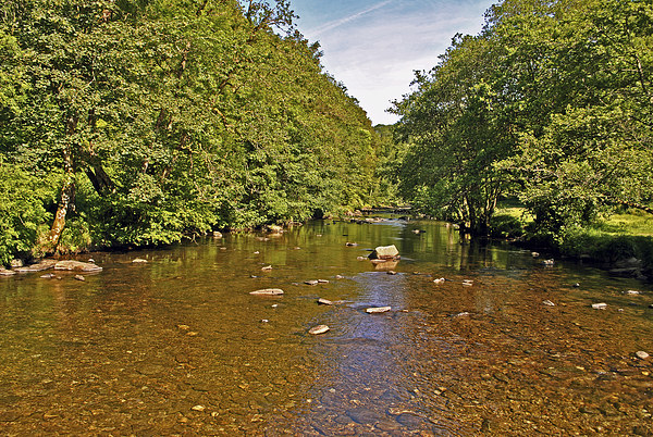  The River Barle at Tarr Steps Picture Board by graham young