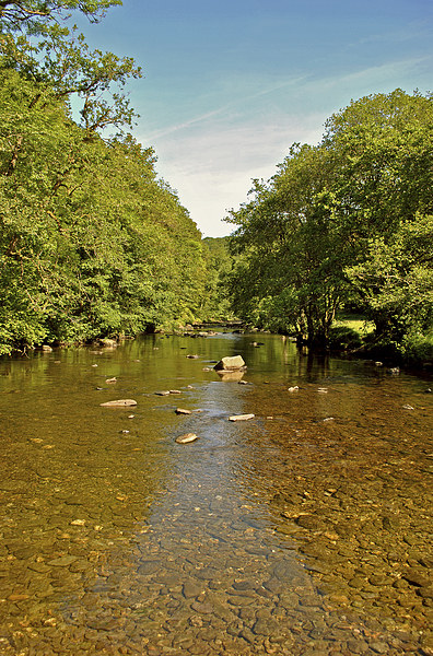 The River Barle at Tarr Step  Picture Board by graham young