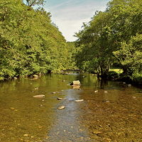Buy canvas prints of The River Barle at Tarr Step  by graham young