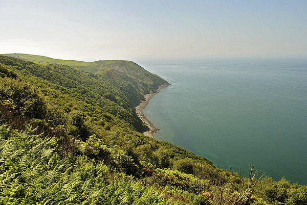 The Exmoor Coast  Picture Board by graham young