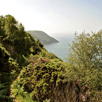 Buy canvas prints of The South West Coast Path  by graham young