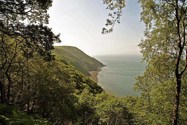 Foreland Point and the Exmoor Coast  Picture Board by graham young