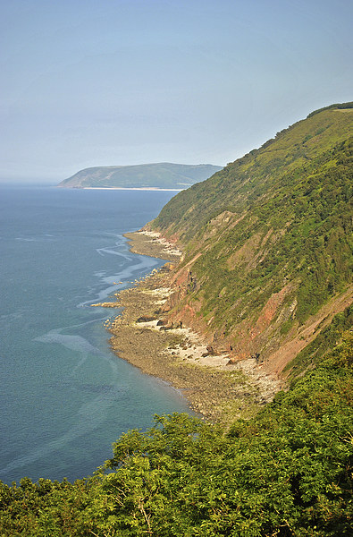 Desolation Point on the Exmoor Coast  Picture Board by graham young