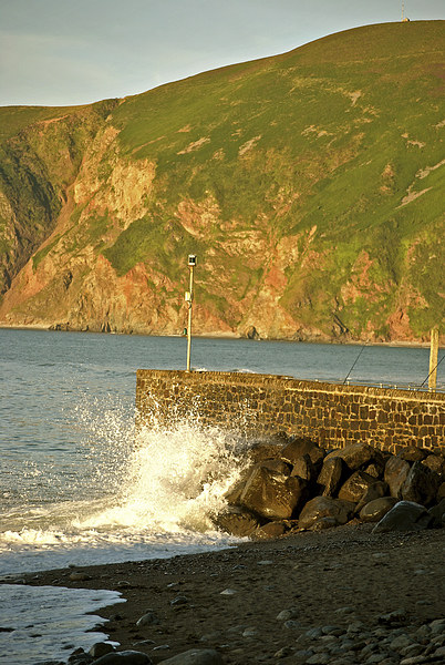 Breakers on the Harbour Wall  Picture Board by graham young