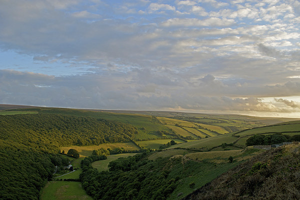 Exmoor from County Gate  Picture Board by graham young