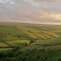 Buy canvas prints of Exmoor  by graham young