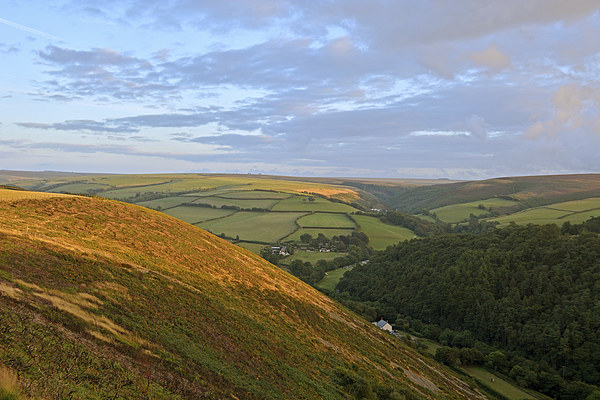 An Exmoor Evening  Picture Board by graham young