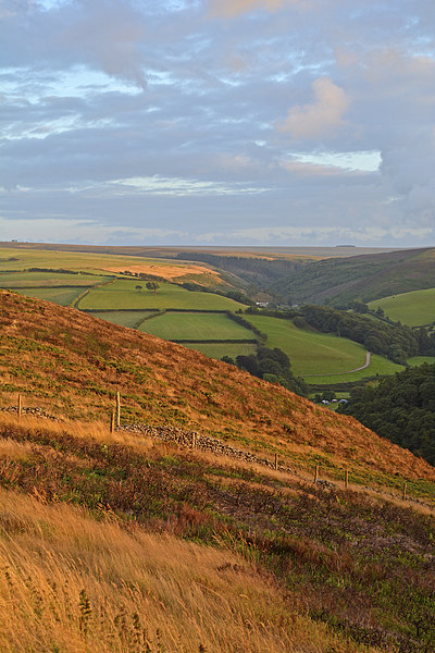 The Colours of Exmoor  Picture Board by graham young