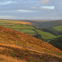 Buy canvas prints of The Colours of Exmoor  by graham young