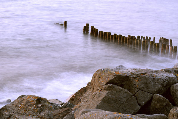 Groyne and Rocks  Picture Board by graham young