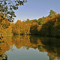 Buy canvas prints of The Lake at Rushmere Country Park  by graham young
