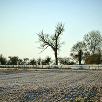 Buy canvas prints of A Frosty Morning in the Chilterns  by graham young