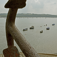 Buy canvas prints of The Torridge Estuary at Appledore  by graham young