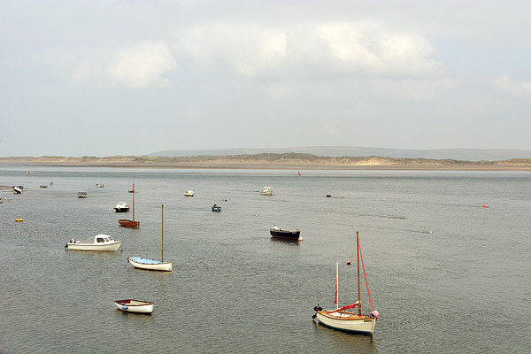 The Estuary at Appledore  Picture Board by graham young