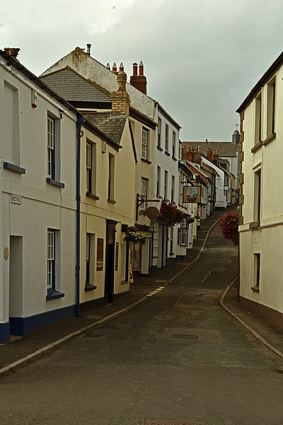Meeting Street, Appledore  Picture Board by graham young