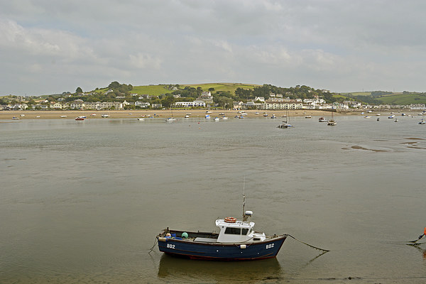 Across the estuary to Instow  Picture Board by graham young