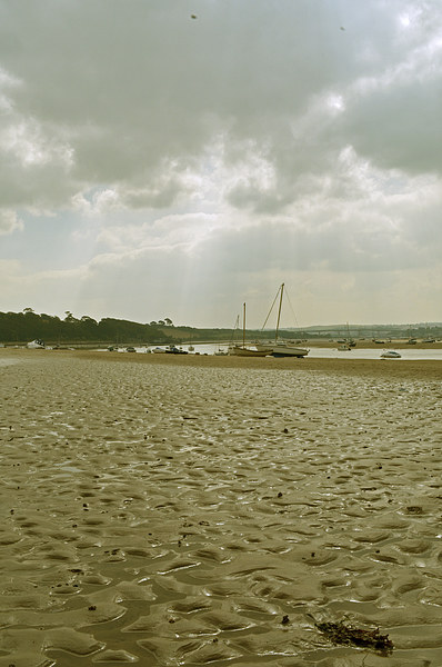 The Beach at Instow  Picture Board by graham young