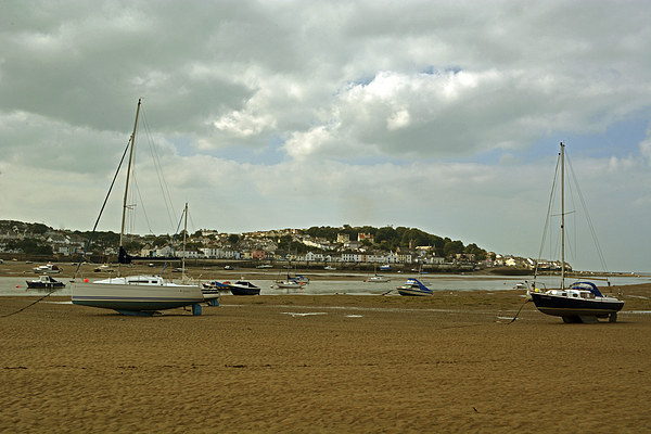 From Instow to Appledore  Picture Board by graham young