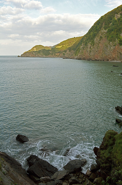 Woody Bay  Picture Board by graham young