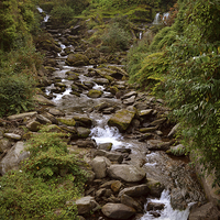 Buy canvas prints of The Glen Lyn Gorge at Lynmouth  by graham young