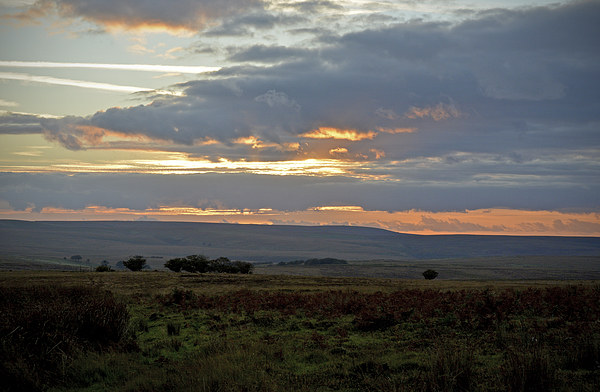 An Exmoor Sunset  Picture Board by graham young