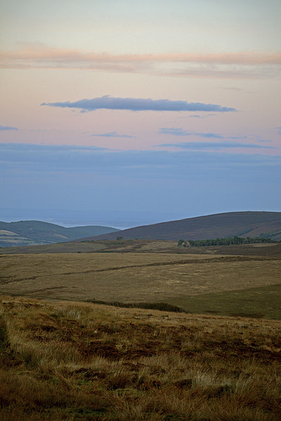 Exmoor Dusk  Picture Board by graham young