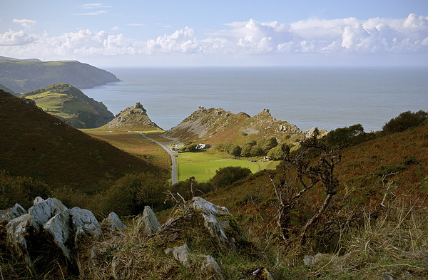 The Valley of Rocks, Lynton, North Devon  Picture Board by graham young
