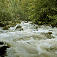 Buy canvas prints of The Tumbling waters of the East Lyn  by graham young