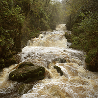 Buy canvas prints of The 'Falls at Watersmeet  by graham young