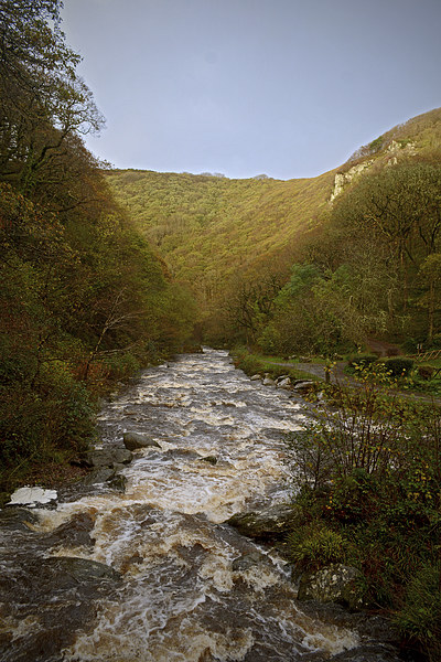 The East Lyn Valley in Autumn  Picture Board by graham young
