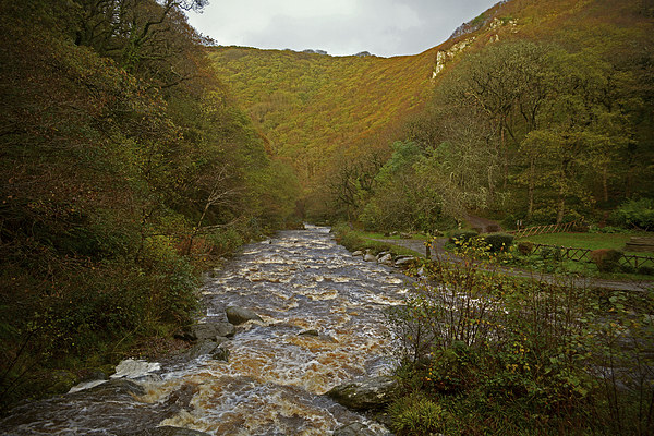 Autumn at Watersmeet  Picture Board by graham young