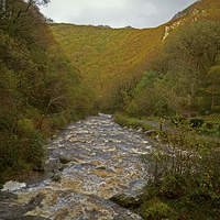 Buy canvas prints of Autumn at Watersmeet  by graham young