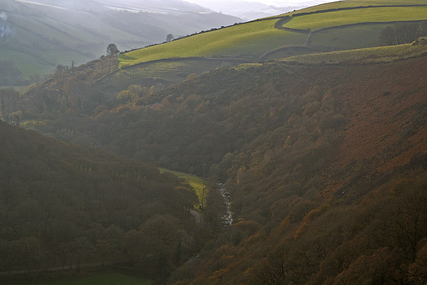 Exmoor in the autumn Mist  Picture Board by graham young
