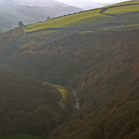 Buy canvas prints of Exmoor in the autumn Mist  by graham young