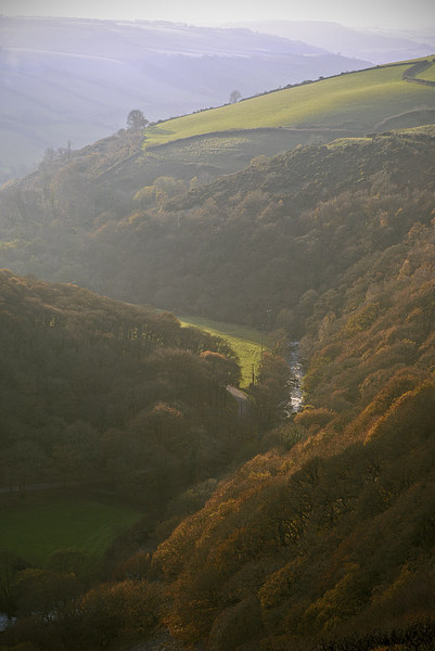 Autumn mist on Exmoor  Picture Board by graham young