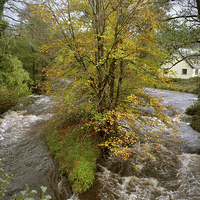 Buy canvas prints of  The East Lyn at Brendon in Autumn by graham young